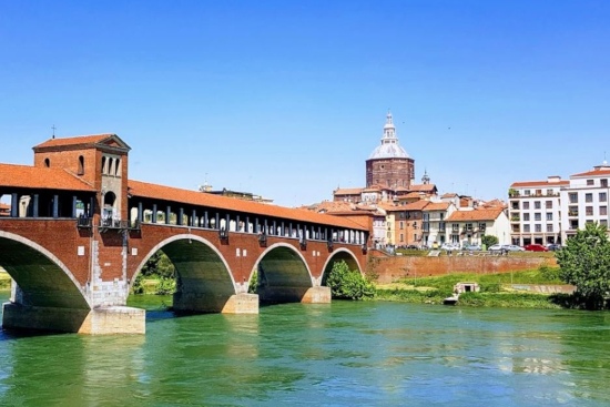 pavia pavia