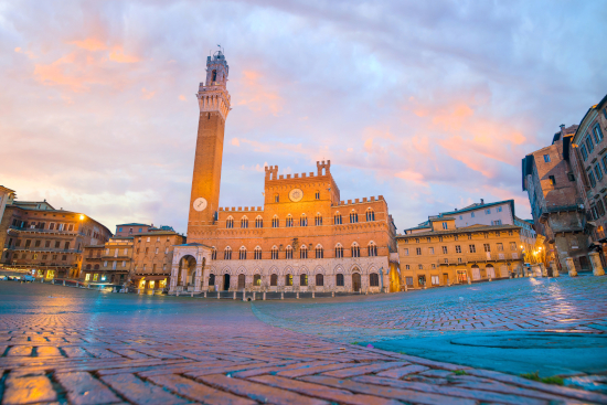 siena referente siena