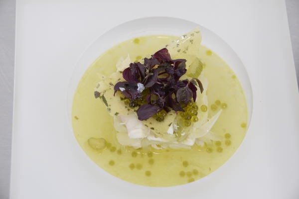 Piatto gourmet dello chef stellato Gionata Bignotti con pesce in salsa gialla e germogli viola.