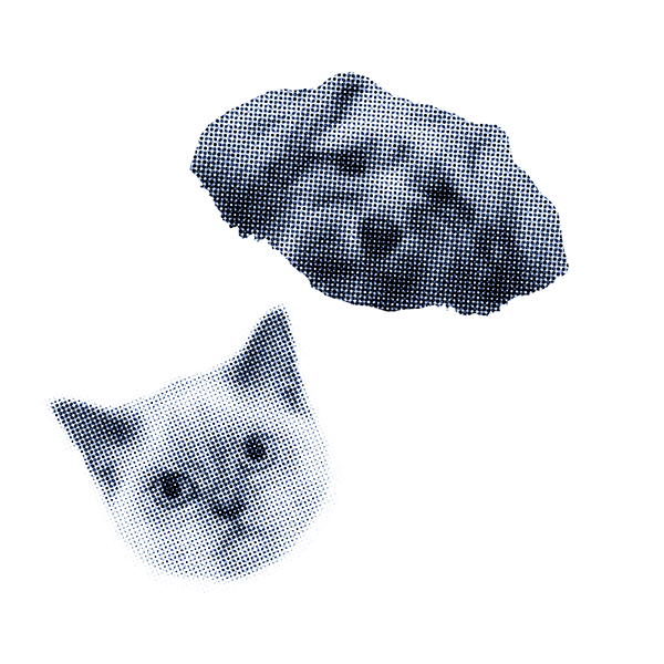 Pet care