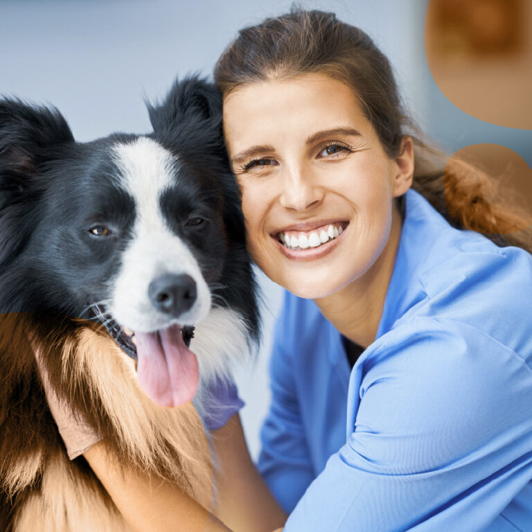 Assistente veterinario con un cane in cura